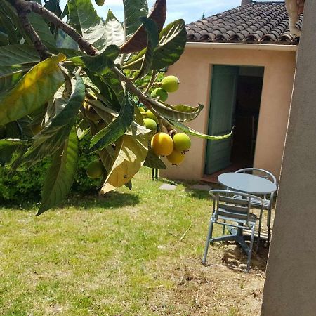 Grand Studio La Roquette-sur-Siagne Ngoại thất bức ảnh