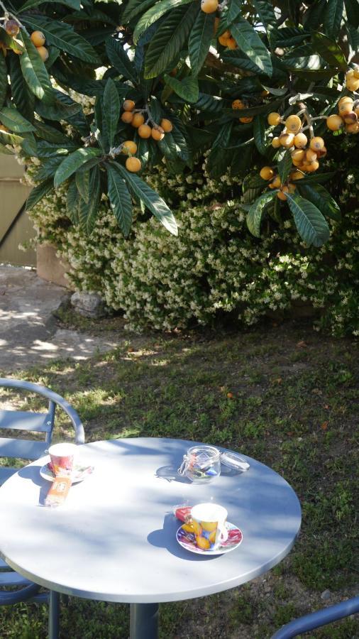Grand Studio La Roquette-sur-Siagne Ngoại thất bức ảnh